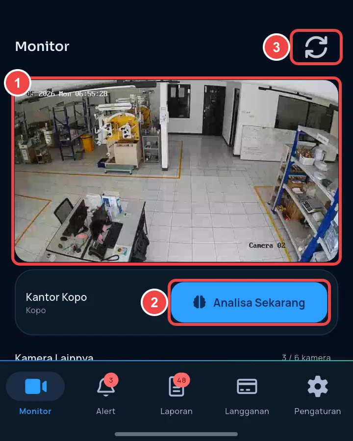 Camera live view